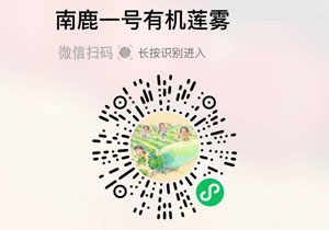 南鹿一号有机莲雾20211211/果然