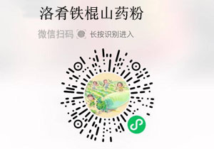 洛肴铁棍山药粉20211213/果然