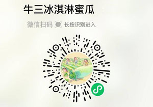 海南三亚牛3蜜瓜20211215/果然