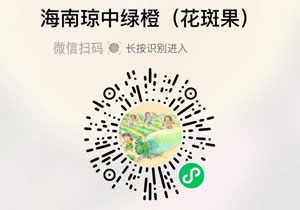 海南琼中绿橙花皮果20211216/果然