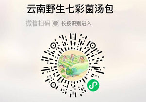 云南野生七彩菌汤包20211216