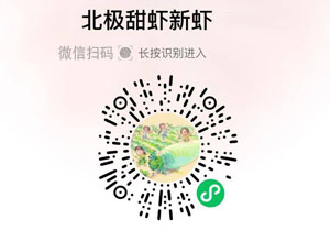 高品质北极甜虾20211218
