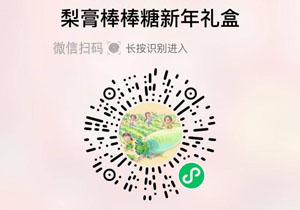 挑剔虎梨膏棒棒糖新年礼盒20211224
