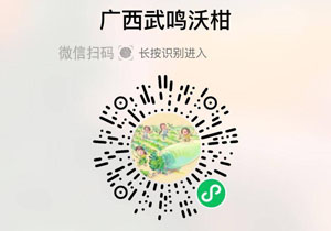 广西武鸣沃柑20211230/果然
