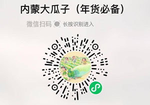 傻大娟®内蒙古原味大瓜子20220101/果然