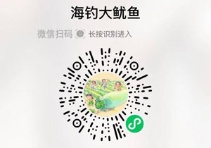 嗨厨船冻大鱿鱼20220102/果然