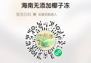 海南无添加椰子冻20220102/果然