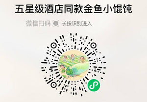 江南之味金鱼小馄饨20220103/果然