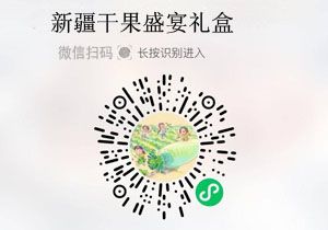 新疆干果盛宴礼盒20220107/果然