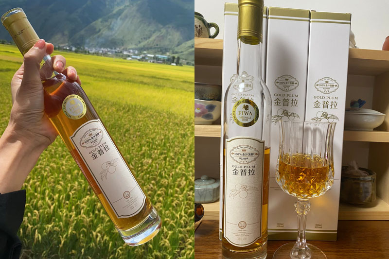 大理揽月青梅酒20220109