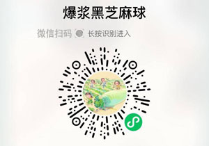 朴食有方爆浆芝麻丸20220111/果然