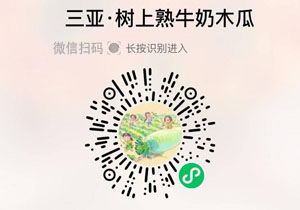 三亚树上熟红心牛奶木瓜20220127/果然