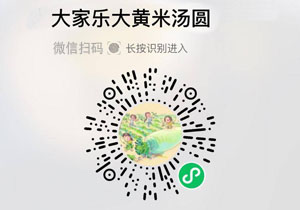 大家乐大黄米汤圆20220203/果然