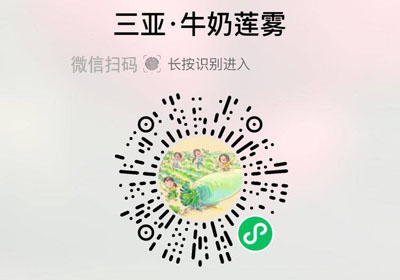 海南三亚牛奶莲雾20220207/果然