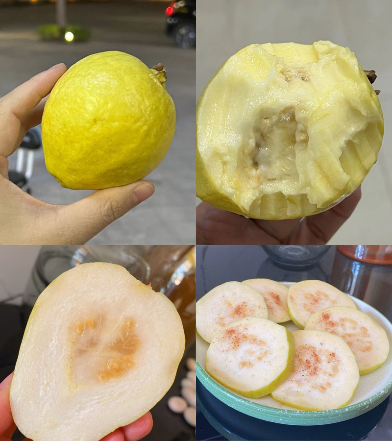 福建黄金奶油芭乐20220211