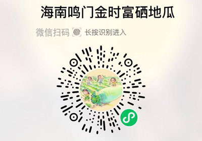 海南鸣门金时地瓜20220211/果然