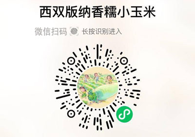 西双版纳傣家香糯小玉米20220213/柴胡