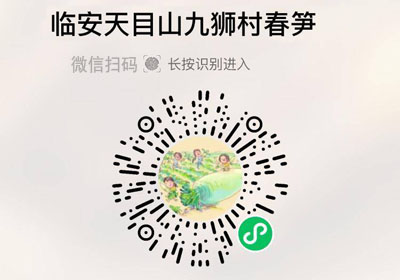 临安天目山九狮村春笋20220217/果然