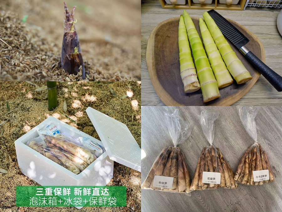 临安天目山九狮村春笋20220217