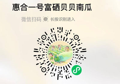 惠合一号富硒贝贝南瓜20220224/果然
