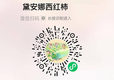 海阳黛安娜西红柿20220313
