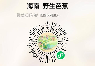 海南五指山野生芭蕉20220314/果然