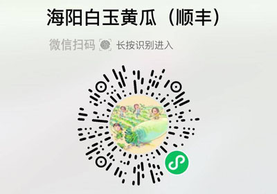 海阳白玉黄瓜20220315/柴胡