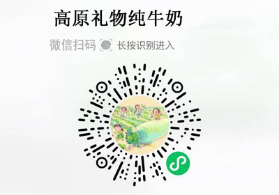 高原礼物纯牛奶（利乐枕）20220315
