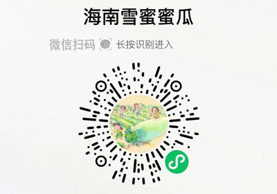 海南雪蜜蜜瓜20220315/果然