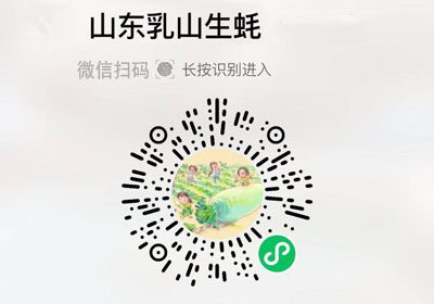山东威海乳山生蚝20220302/果然