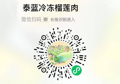 泰蓝冷冻榴莲果肉20220316/果然