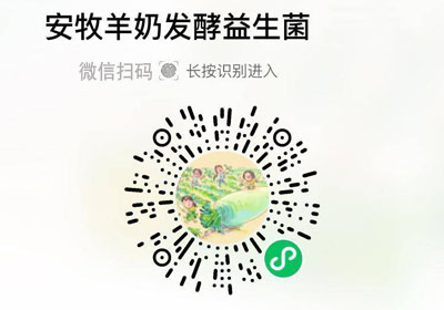 安牧羊奶发酵型乳酸菌20220323/果然
