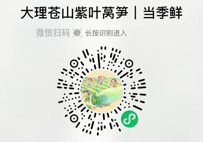 大理紫叶莴笋20220325/果然