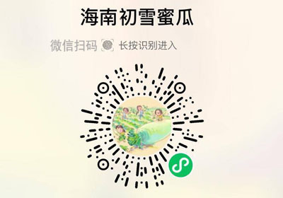 海南白雪蜜瓜20220330/果然