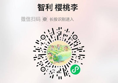智利樱桃李20220306