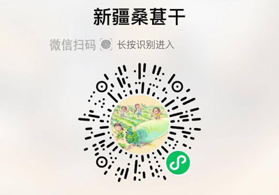 切糕王子新疆一级桑葚干20220308/果然