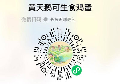 黄天鹅可生食鲜鸡蛋20220301/果然