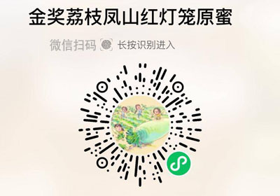 金奖红灯笼荔枝土蜜20220402