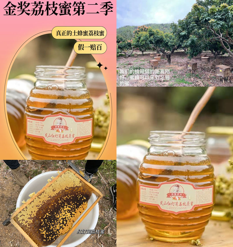 金奖红灯笼荔枝土蜜20220402