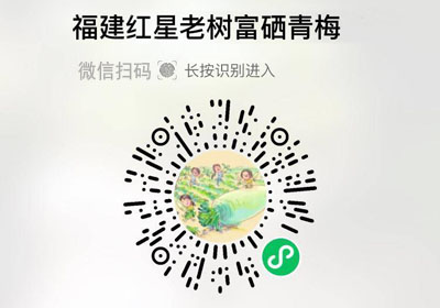 福建诏安红星老树富晒青梅20220406/果然