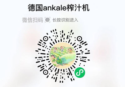 德国ankale榨汁机小型便携式20220410/果然