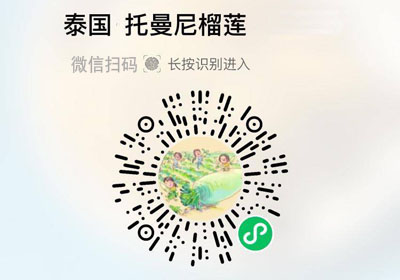 泰国托曼尼榴莲20220411/果然