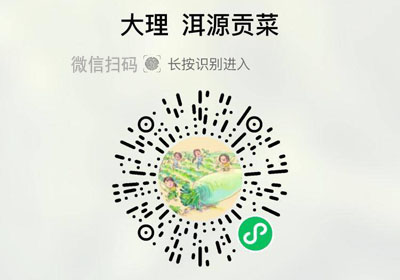 大理洱源贡菜干 理洱记20220412/果然