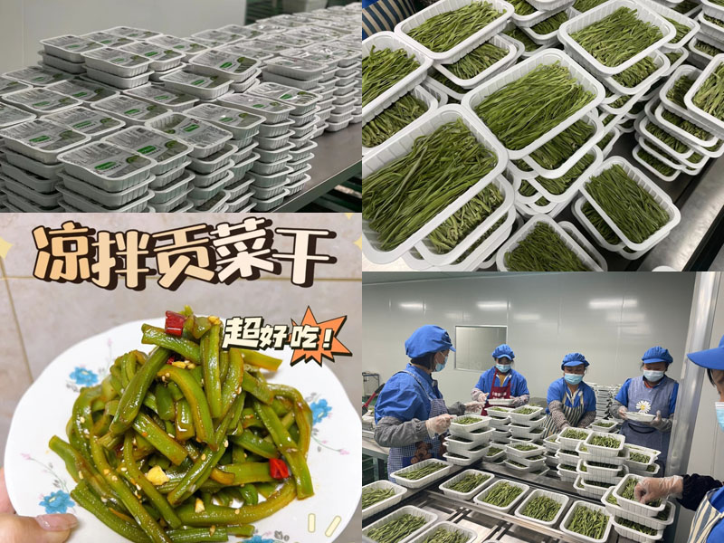 大理洱源贡菜干 理洱记20220412