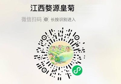 婺晓®江西婺源皇菊20220429/果然