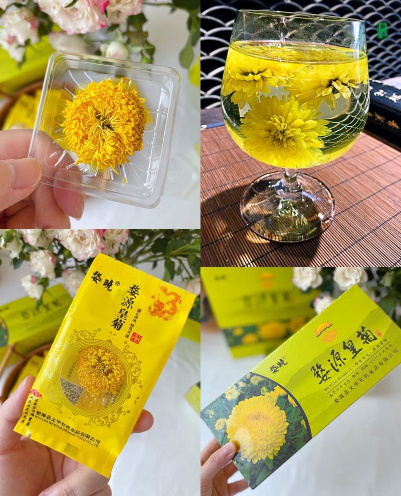 婺晓®江西婺源皇菊20220429