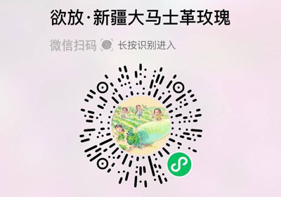 欲放沙漠玫瑰花20220512/果然