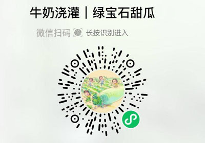 绿宝石脆皮甜瓜20220517/果然
