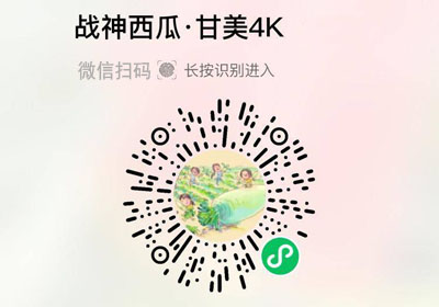站神西瓜|东台甘美4K西瓜20220522/果然