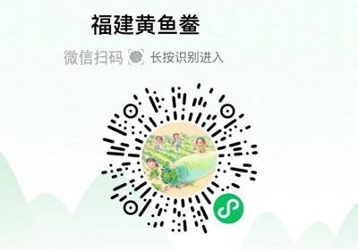 福建宁德黄鱼鲞20220528/果然